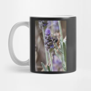 Blue Banded Bee Mug